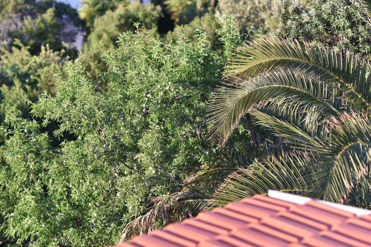 Apartmani Marko Gdinj Esterno foto